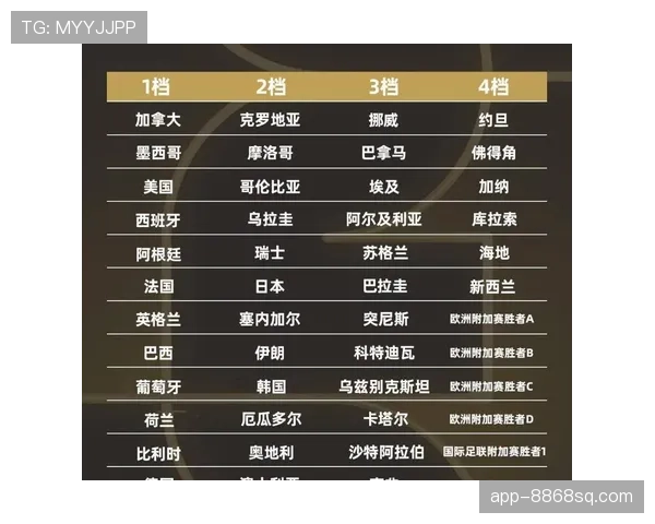 2026世界杯48支球队12个小组赛制是什么